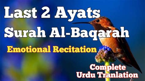 Surah Baqarah Last 2 Ayat Last 2 Ayats Of Surah Al Baqarah Surah Baqarah Recite Quran Tv