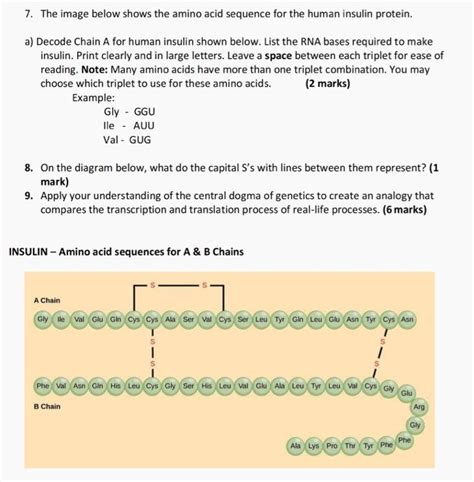 Solved 7. The image below shows the amino acid sequence for | Chegg.com