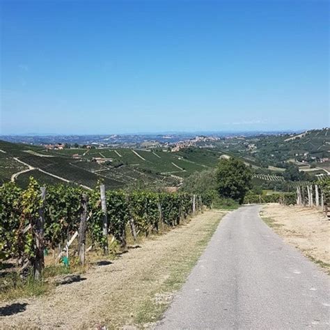 Domenica C La Monsterrato Cicloturistica Sulle Strade Bianche