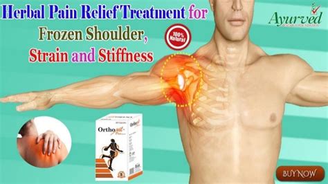 Herbal Pain Relief Treatment For Frozen Shoulder Strain And Stiffness