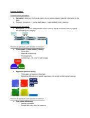 Understanding Sensation Perception And Consciousness Course Hero