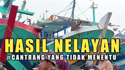 BONGKAR IKAN PIRIK KAPAL CANTRANG PELABUHAN TEGAL YouTube