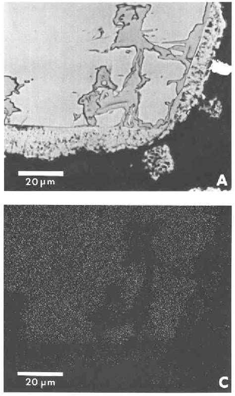 Figure From Alteration Of Plagioclase And Pyroxene Phenocrysts In A