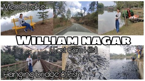 Vlog William Nagar Visit Memo Lake Hanging Bridge Fish Are Touch