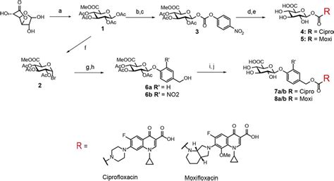 Schematic Illustration Of Syntheses For Glucuronide Prodrugs Used In