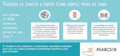 Cancers Du Sein Le Dosage Des Cellules Tumorales Circulantes Am Liore