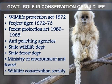 Wildlife conservation and its benefits