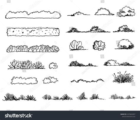 Grass Sketch Landscape Architecture Drawing Stock Vector (Royalty Free ...