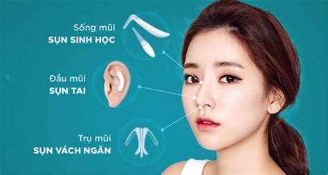 Top C C D Ng M I Hot Trend Gi I Tr Ng Flex