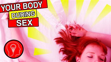 What Happens To Your Body During Sex Youtube