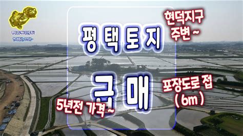 평택 토지 급매 현덕지구 아스콘 포장된 장수길에 접한 5년전 가격의 평택땅 투자 매물 대출 70 가능 계약됨평택