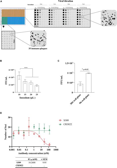 Frontiers An Optimized High Throughput Immuno Plaque Assay For SARS CoV 2