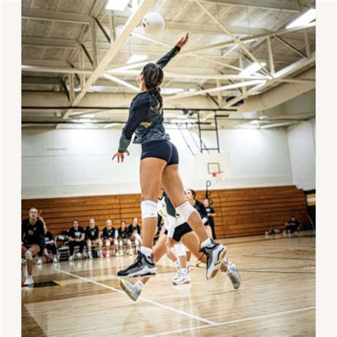 Aurora Rosa S Volleyball Recruiting Profile