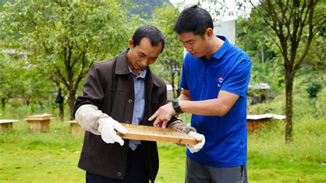 乡村振兴看茅台③ 文家坝村：“甜蜜事业”实现“蜂”回路转何枰燏养蜂蜂蜜