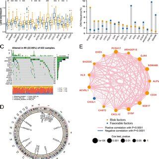 Expression Characteristics Of Emvi Immune Related Genes A The