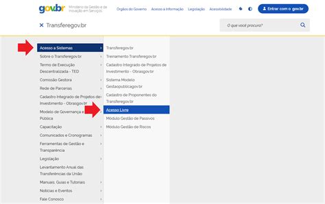 Passo A Passo Para Consulta No Portal Transferegov Br Ag Ncia