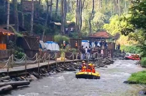 Kawasan Kampung Singkur Wisata Alam Di Tengah Hutan Pinus Rahong