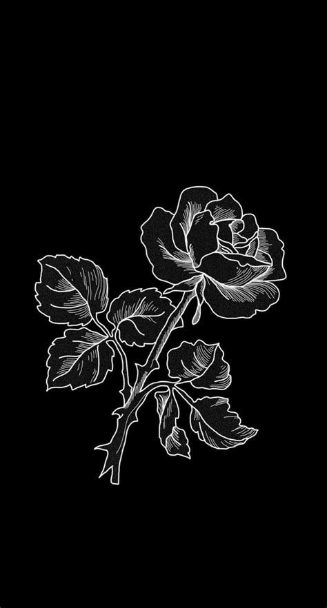 Aesthetic Black Flower Wallpapers Wallpaper Cave