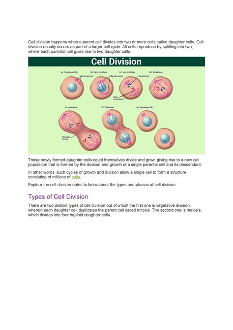 Biol Cell Cycle Notes Cell Division Cell Division Happens When A