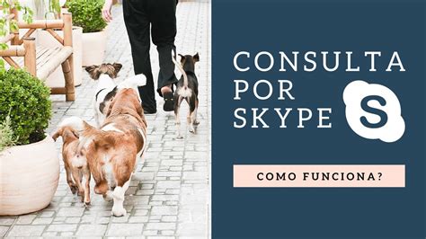 Consulta Por Skype Como Funciona YouTube