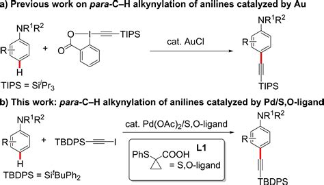 Selective Para‐c−h Alkynylation Of Aniline Derivatives By Pdso‐ligand