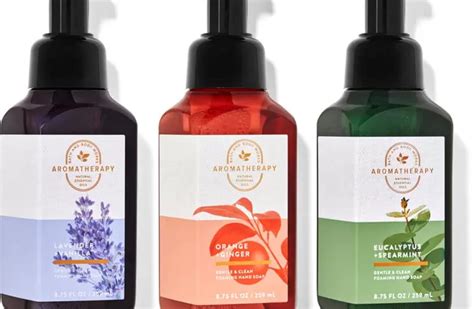 Buy Bath And Body Works Aromatherapy Gentle Foaming Hand Soap Trio