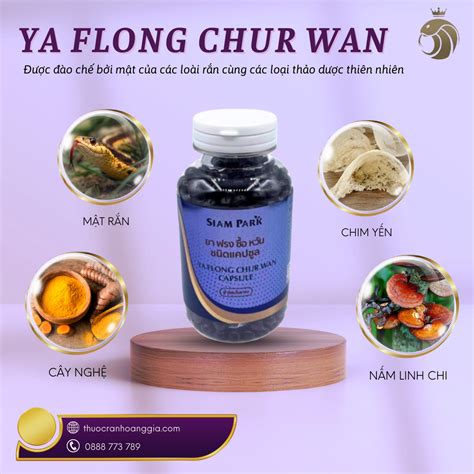 Thuốc rắn Thái Lan YA FLONG CHUR WAN