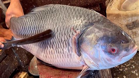 Incredible Giant Katla Fish Cutting Skills Live In Fish Market