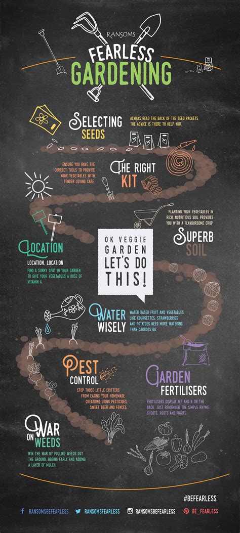 To Finalise This Months Vegetable Topic We Have Created An Infographic Summarising All The