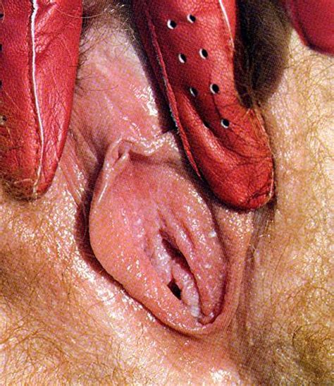 Colleen Brennan Th Hole Mag Sekafanxxx S Collection Porn Pic