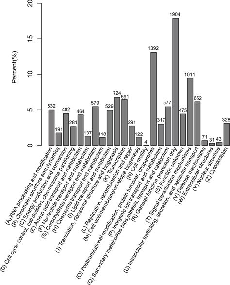 Functional Classifications Of The Assembled Unigenes According To The