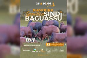 Shopping Genética Sindi Baguassu Connect Leilões Conectando o