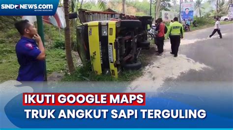 Sopir Ikuti Google Maps Truk Angkut Sapi Terguling Di Pacitan