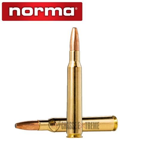 Munitions De Chasse Norma Oryx Calibre 7x64 170 Grains