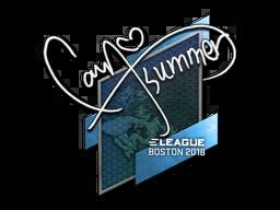 Summer Boston 2018 CSGO Sticker Price CS GO Captain