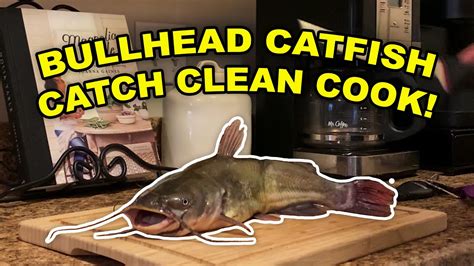 Bullhead Catfish Catch Clean Cook YouTube