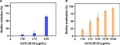 Inhibition A And Eradication B Activities Of Lcccl28 25 On P