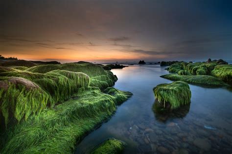 View Of River With Rock Covered With Green Moss · Free Stock Photo