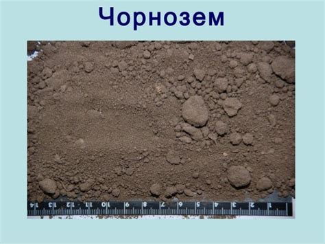 Грунт