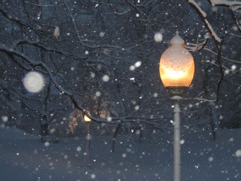 snow light | cecilysdiary | Flickr