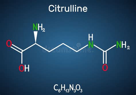 D Structuur Van Citrulline Een Alpha Aminozuur Het Is Een Zeer