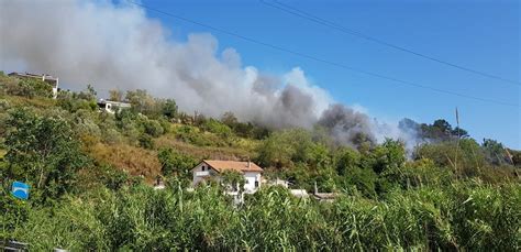 Incendi Ortona Il Comune Chiede Lo Stato Di Emergenza