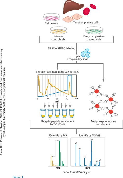 Figure 1 From Global And Site Specific Quantitative Phosphoproteomics