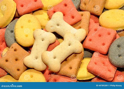 Dog Biscuits stock image. Image of mixer, shapes, baked - 44789289