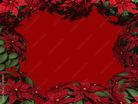 poinsettia border Stock Illustration | Adobe Stock