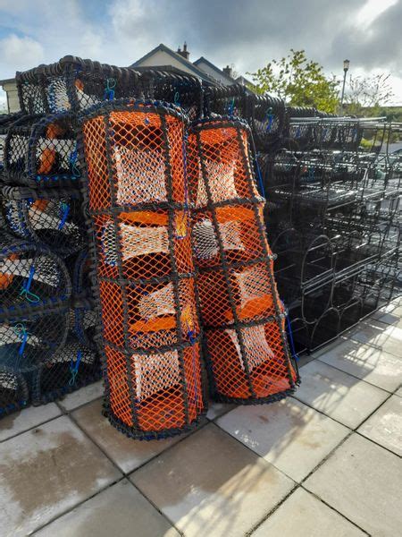 Lobster Pots 26 All Sections Ads For Sale In Ireland Donedeal