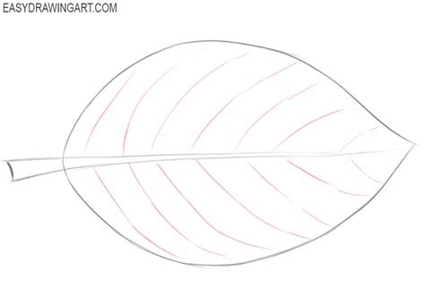 Discover 225+ easy leaf drawing - nanoginkgobiloba.vn