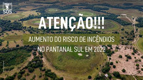 Alerta Seca Antecipada Aumenta Risco De Inc Ndios No Pantanal Em