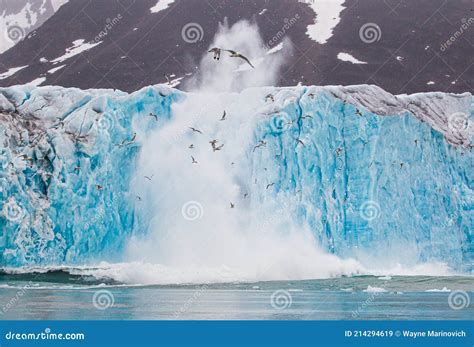 Giant Iceberg Calving from the Glacial Wall Stock Image - Image of ...