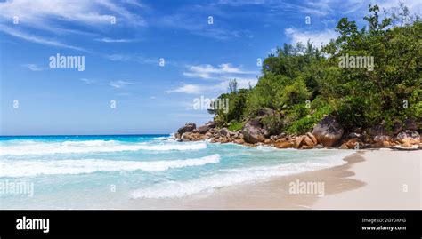 Seychelles Anse Georgette Beach On Praslin Island Palm Panorama